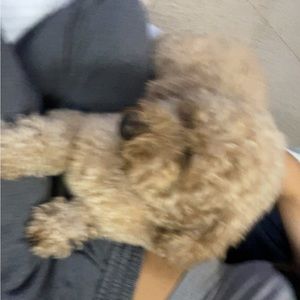 Meet your Posher, Stacy